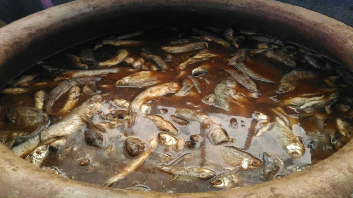 แซ่บหลาย ! ร้านปลาร้าเงินล้าน ธุรกิจไม่ตามกระแส ความเสี่ยงน้อยแต่กำไรงาม การันตีอร่อยชัวร์ ลูกค้าแย่งกันซื้อไม่ขาดสาย (คลิป)