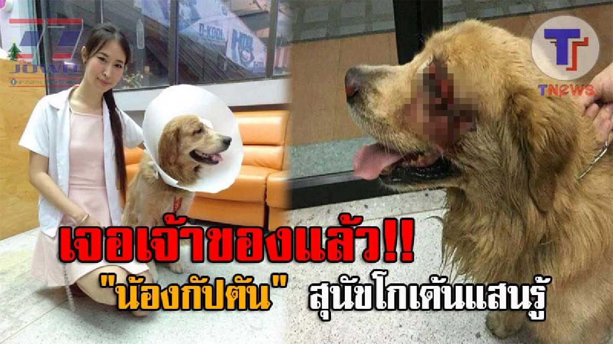 ความห่วงใยจากพลังโซเชียล..!! "หมอฝน" เผยคำขอบคุณคนที่เป็นห่วง "น้องกัปตัน" สุนัขโกเด้นแสนรู้ ล่าสุดเจ้าของได้มารับตัวเรียบร้อยแล้ว