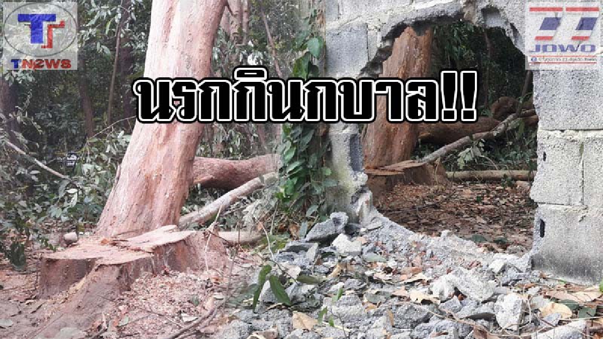 ไม่เกรงกลัวบาป !! กลุ่มคนร้ายลงมือก่อเหตุทุบกำแพงวัด เปิดทางขโมยตัดไม้พะยูงที่ชาวบ้านร่วมกันอนุรักษ์ไว้ ก่อนหลบหนีลอยนวล (คลิป)