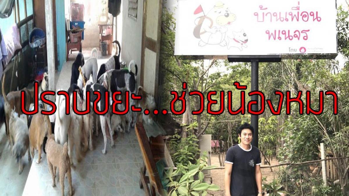 เขาก็มีหัวใจ..!?? ปราบขยะจัดอบรมการรีไซเคิล หารายได้ "ช่วยสุนัข" ในโครงการบ้านเพื่อนพเนจร "ดอนเจดีย์"