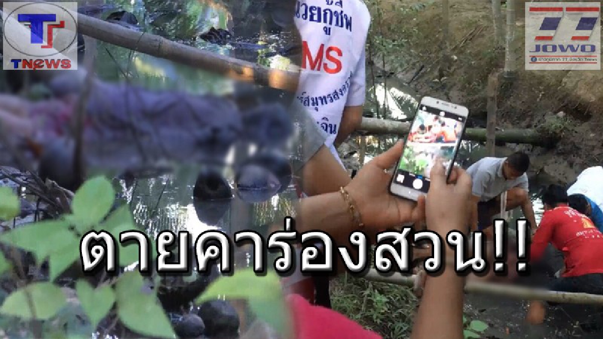 สุดสลด !! หนุ่มใหญ่วัย 56 ถือกระติกไปซื้อน้ำแข็ง แต่ฝากระติกดันตกร่องสวน! รีบก้มเก็บเกินเหตุ เกิดหน้ามืด เป็นลมจมน้ำตื้นดับคาสวนมะพร้าว