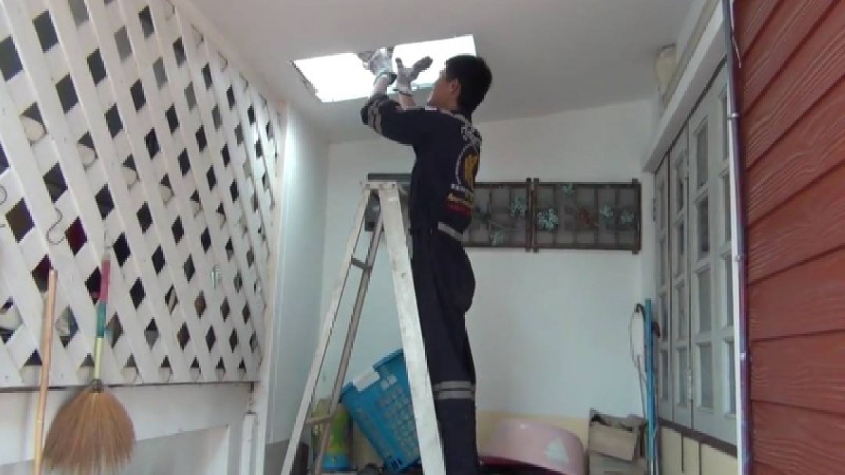 กู้ภัยทำได้ทุกอย่าง ! คราวนี้ช่วยชีวิตแม่แมวและลูกๆอีก 3 ตัว ติดบนหลังคาบ้านนานหลายวัน (คลิป)