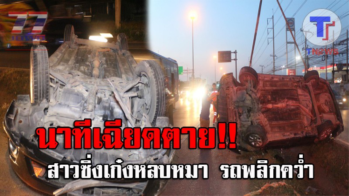 หมามันเกือบพาตาย..!! สาวโรงงานช็อคหนัก ซิ่งเก๋งจะไปทำงาน จู่ๆหมาวิ่งตัดหน้า ก่อนหักหลบจนรถพลิกคว่ำ โชคดีตนเองไม่เจ็บ!? (ชมคลิป)