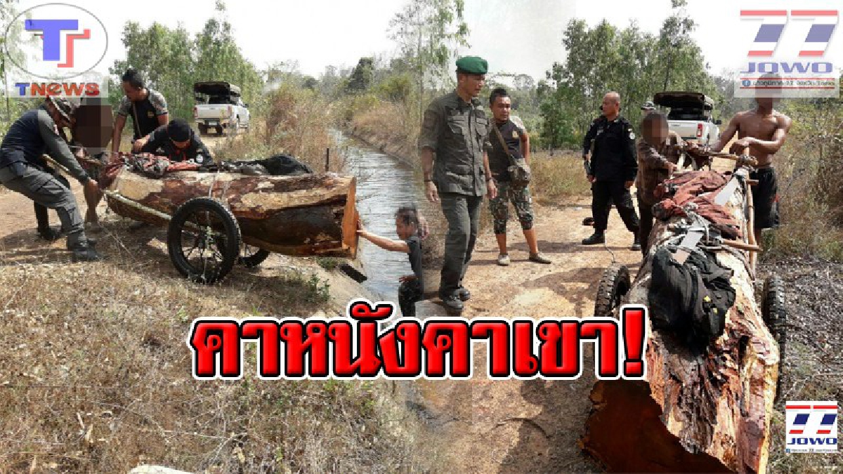 บุกรวบแก๊งมอดไม้แสบ!! ขณะเตรียมเคลื่อนย้ายท่อนไม้ประดู่ที่ซ่อนไว้ใต้น้ำ ส่งข้ามแดนไปกัมพูชา สุดท้ายไปไม่รอด..