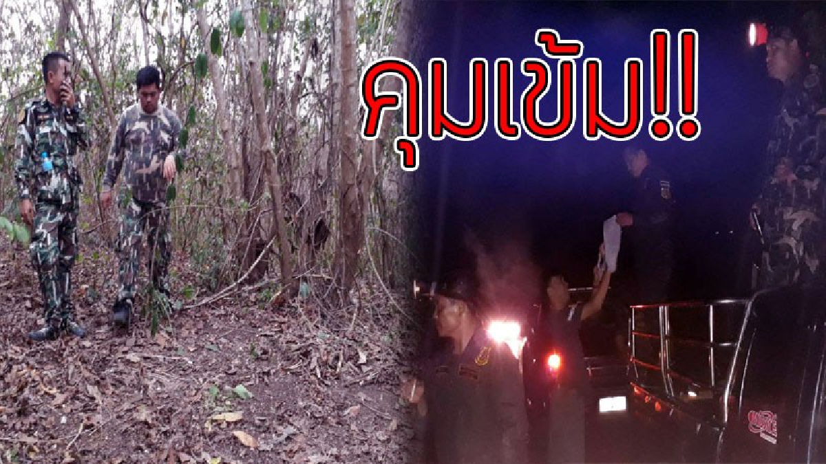 ช้างป่า "สีดอแดง" เดินตรงประชิดชายแดนเขมรบ้านทับพริก ใช้รถไถกว่า 10 คันเข้าขวาง กลัวข้ามประเทศไปเขมร