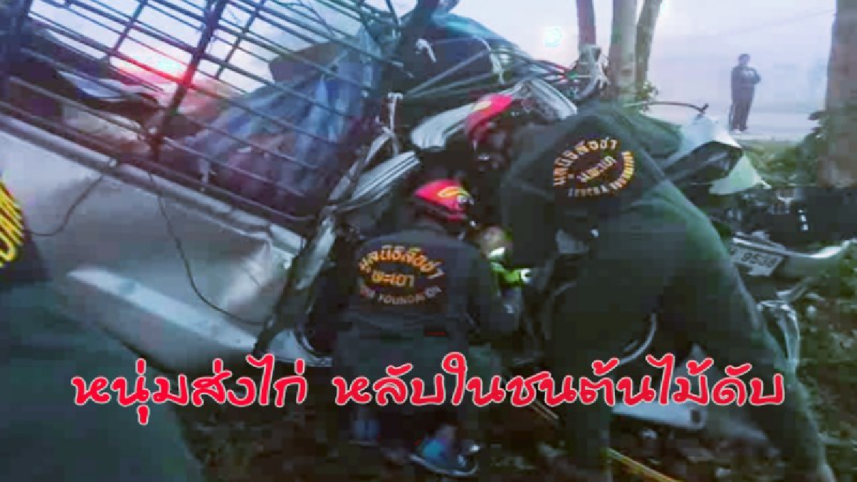 สุดสลด..!?? หนุ่มขับรถส่งไก่เกิดหลับใน พุ่งชนร่างอัดต้นไม้ ดับคาซากรถ ไก่เทกระจาดเกลื่อนถนน..!! (มีคลิป)