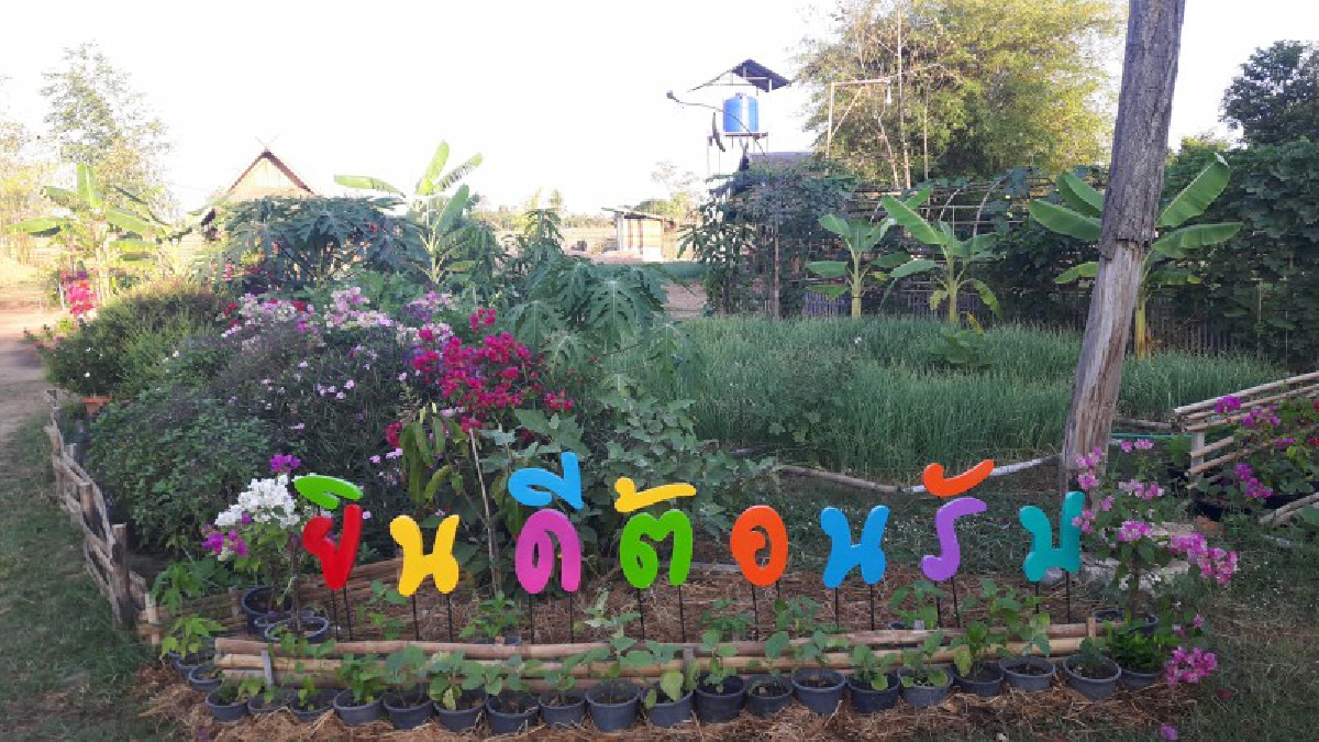 สูดอากาศบริสุทธิ์กันเต็มปอด!! สวนเกษตรอินทรีย์แบบผสมผสานกลางทุ่งนา รอต้อนรับประชาชนและนักท่องเที่ยว เข้ามาสัมผัสเก็บภาพสวยๆ