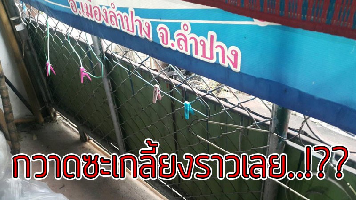 ทำกันได้ลง..!! เล่นเอาผวา ไอ้โจรโรคจิตที่ลำปางแอบย่องขโมย "ชุดชั้นในผู้สื่อข่าว" กวาดไปเรียบจากราวตากผ้าในบ้าน..!??