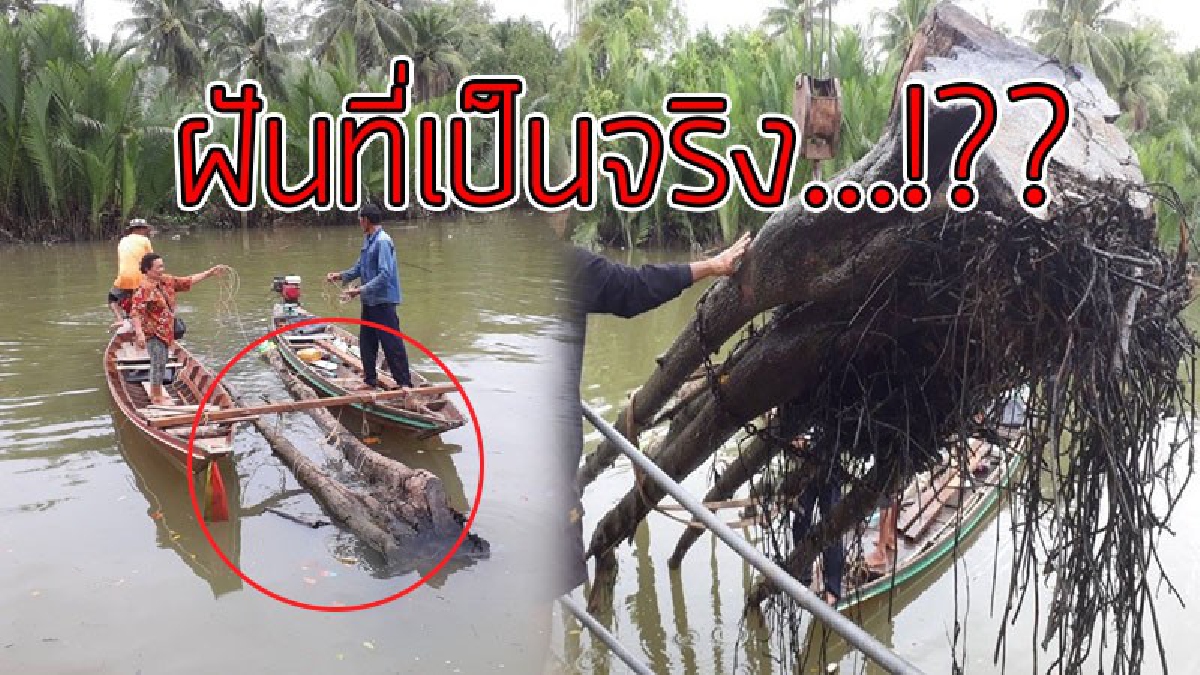 ขนลุกซู่..!! สาววัย 39 ฝันเห็นต้นตะเคียนถูกตัด ลอยอยู่ในลำคลอง จู่ๆเกิดปาฏิหาริย์ ความฝันเป็นจริง พบลอยทวนน้ำมาจอดหน้าบ้านตนเอง..!??