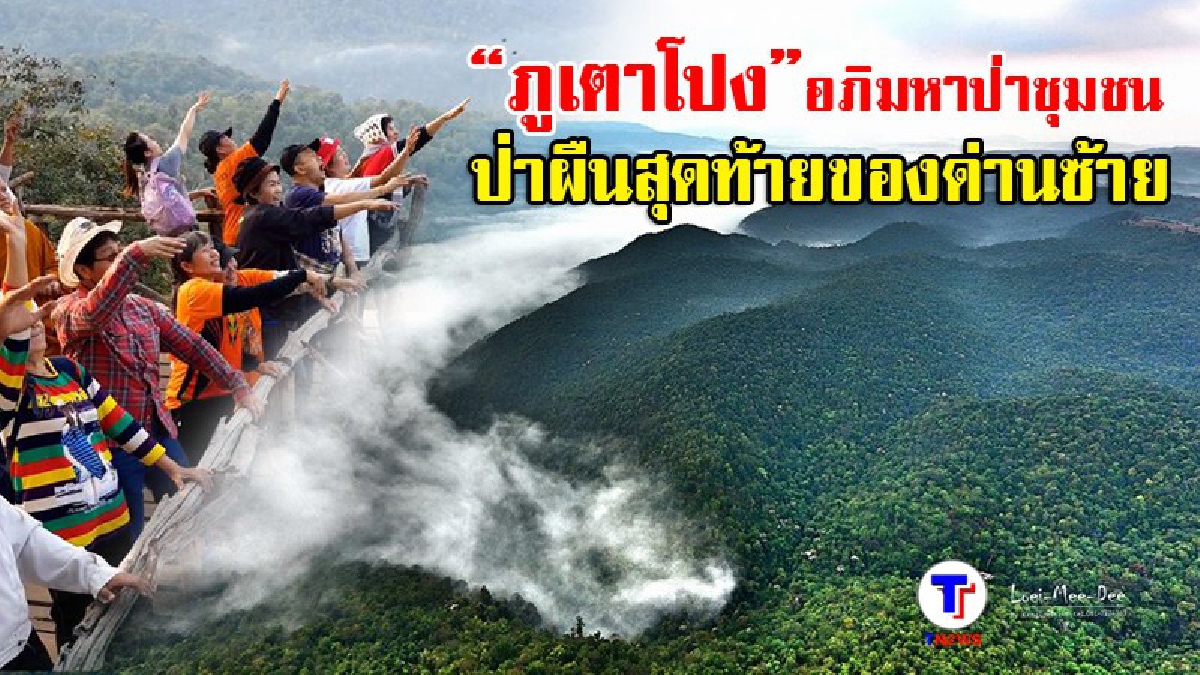 สักครั้งในชีวิต..ต้องไปดูให้เห็นกับตา!?? นักท่องเที่ยวแห่ชมทะเลหมอก "ภูเตาโปง" แหล่งท่องเที่ยวใหม่ อ.ด่านซ้าย พูดได้คำเดียว "สวยมาก"(มีคลิป)