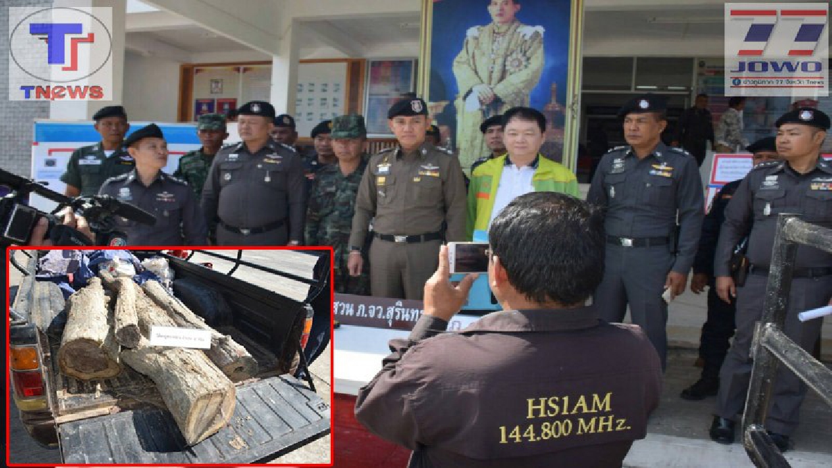 ล้างบาง..!!? ตร.สุรินทร์โชว์เหนือ รวบแก๊งเขมรลักตัดไม้พะยูง หลังเหิมหนัก ทั้งวัด รร. และสถานที่ราชการโดนหมด คาดส่งขายนายทุนต่างชาติ (คลิป)