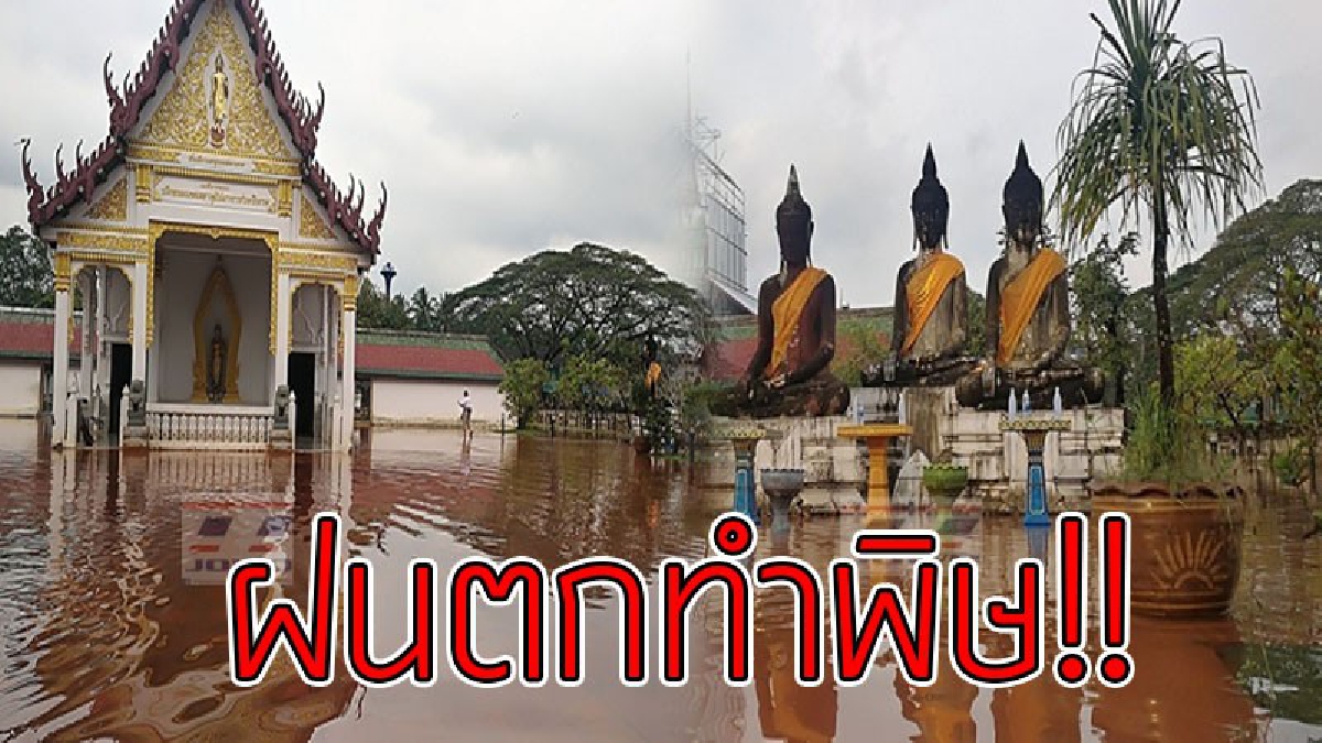 ฝนตกทำพิษ!? เกิดฝนหนัก ส่งผลให้น้ำท่วมขัง "วิหารพระบรมธาตุไชยา" สูงกว่า 30 ซม. (ชมคลิป)