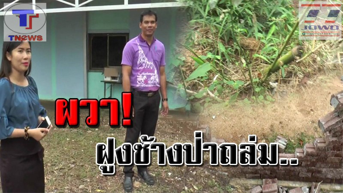 ผวาหนัก!? ครู-นร. รร.บ้านอ่างเสือดำ ตื่นตระหนกไปตามๆกัน หลังฝูงช้างป่า จากเขาอ่างฤาไนกว่า 40 ตัว ยกพลบุกอาละวาด พังรั้วพินาศ (คลิปเหตุการณ์)