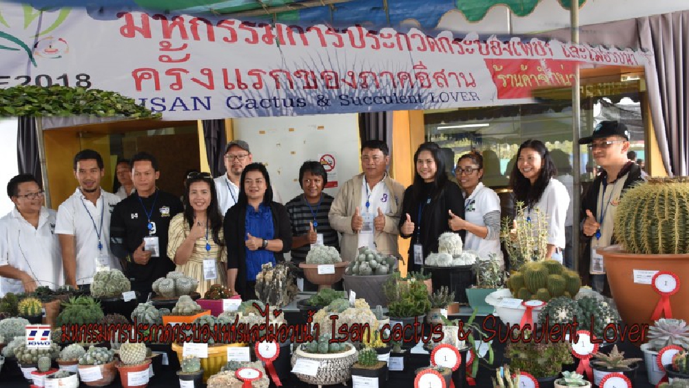 โคราชสุดคึกคัก!! ประชาชนแห่ชมงานประกวดกระบองเพชรและไม้อวบน้ำ Isan cactus &amp; Succulent Lover จัดครั้งแรกในภาคอีสาน ในงานเกษตรสุรนารี 61
