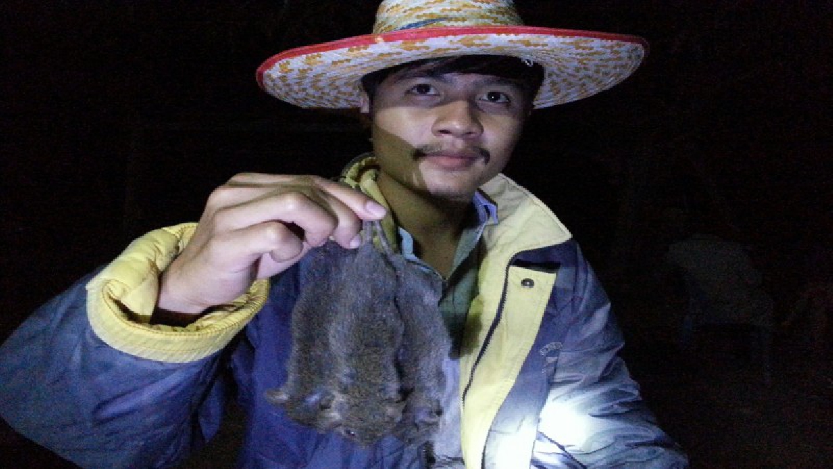 นักล่าหนูนา ! ชาวนครชุม หลังว่างเว้นจากเก็บเกี่ยวข้าวขุดมันเสร็จ รวมตัวกันออกหาดักหนูนา นำมาปรุงเป็นอาหาร และขายสร้างรายได้เสริม (คลิป)
