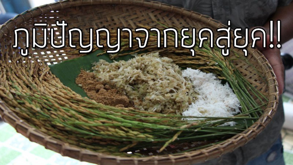สืบทอดภูมิปัญญา!? กศน.ตรังนำนักศึกษาเรียนรู้ภูมิปัญญาชาวบ้าน เก็บข้าวไร่เพื่อมาทำข้าวเม่า ต่อยอดภูมิปัญญา-สืบสานอนุรักษ์สู่อนาคตต่อไป..!!