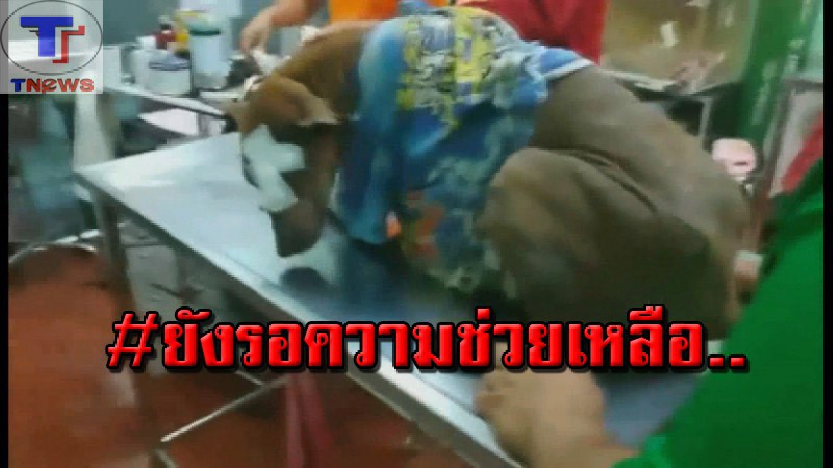 โปรดเมตตาด้วยเถอะ..!! "เจ้าวันเด็ก" สุนัขที่ถูกคนใจบาปฟันหน้าเหวอะ ล่าสุดตาซ้ายบอดสนิทต้องหาหมอทุกวัน ชาวบ้านวอนผู้ใจบุญร่วมช่วยเหลือ (คลิป)