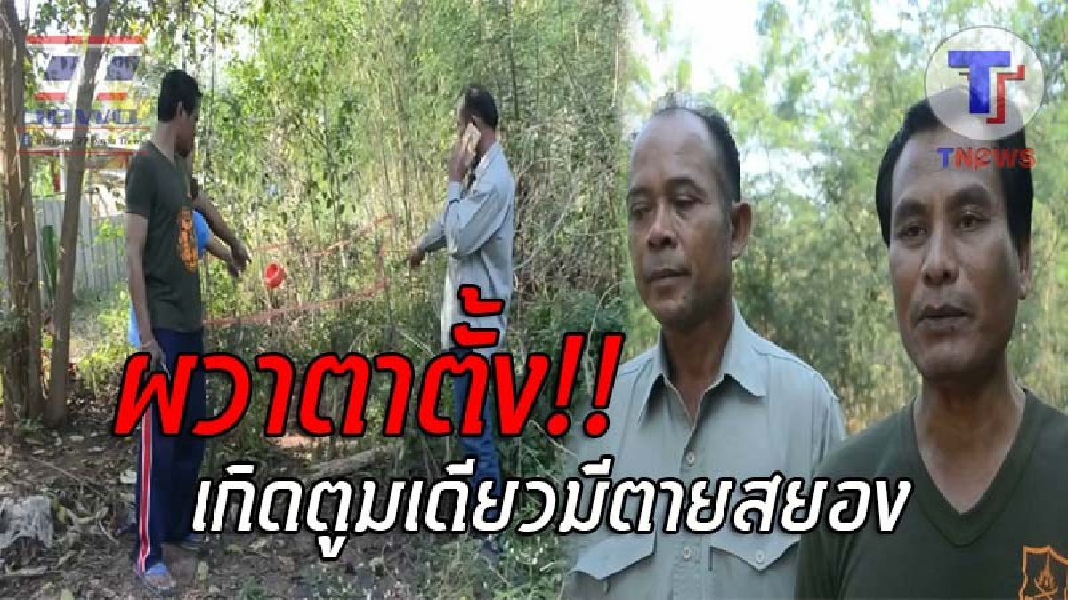 โอ้แม้เจ้า..ใจตกไปอยู่ตาตุ่ม !! ชาวบ้านไปตัดต้นกระถินในป่า จู่ๆพบวัตุประหลาด เดินไปดูใกล้ๆถึงกับผวา งานนี้ตูมเดียวมีเละเป็นโจ๊ก!? (ชมคลิป)