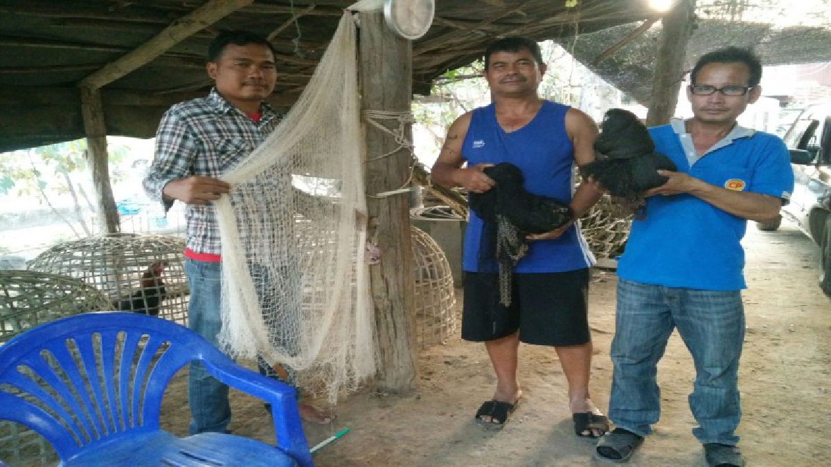 หนุ่มใหญ่เมืองช้าง วัย 53 ปี “สานแห” เป็นอาชีพเสริมเพิ่มรายได้ หลังฤดูทำนา ลูกค้าตรึม..ต้องสั่งจองกันข้ามปี..!? (มีคลิป)