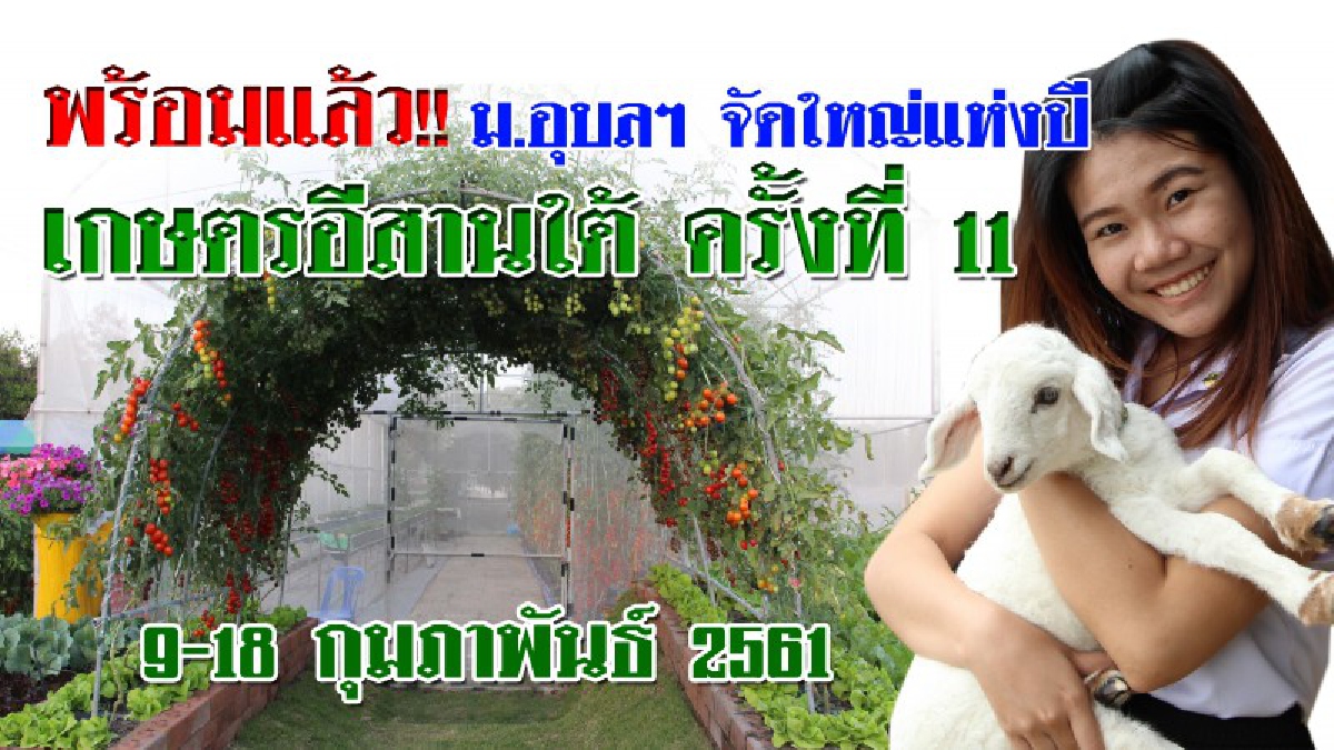 พร้อมแล้ว!! ม.อุบลฯ จัดงานใหญ่แห่งปี..เกษตรอีสานใต้ ครั้งที่ 11“ศาสตร์พระราชา สู่การพัฒนาเกษตรไทย 4.0 “9 -18ก.พ.61