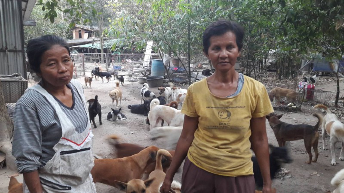 ช่วยด่วน! เปิดชีวิตป้า-ยายในศูนย์พักพิง หมาแมวกว่า 600 ตัว ผจญปัญหาวิกฤต..ขาดอาหาร 2ชีวิตต้องอาศัยนอนบนกรงสุนัข (คลิป)