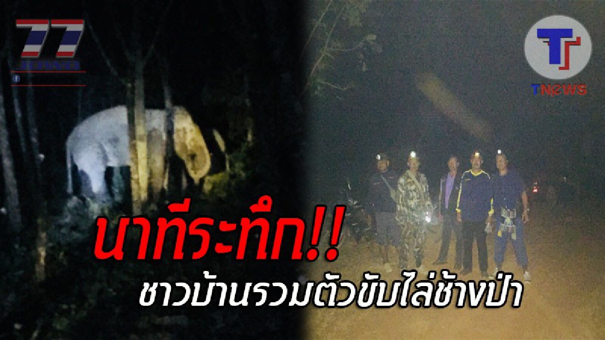 เปิดคลิปสุดระทึก..!! วินาทีช้างป่าบุกสวนกลางดึก ชาวบ้านรวมพล จุดพลุลูกแตก แต่กลับไม่เป็นผล ต้องใช้วิธีคนจำนวนมากยืนกดดัน!? (ชมคลิป)
