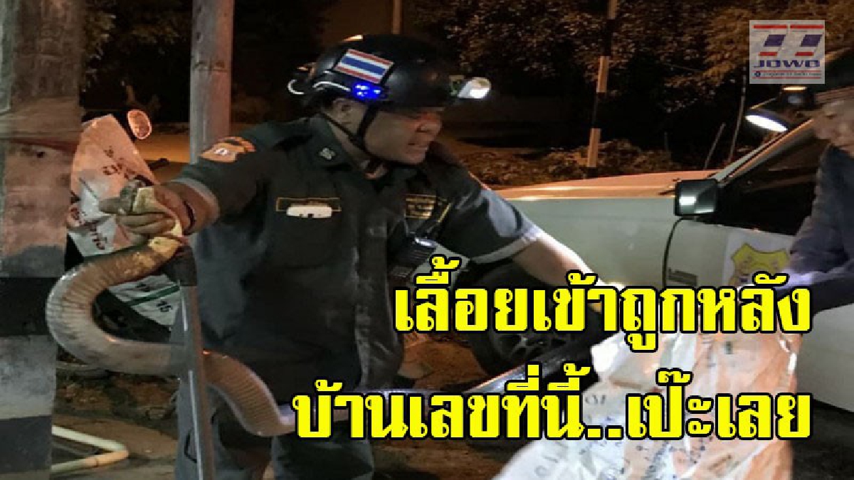 สะพรึง ! จนท.เร่งจับงูจงอางตัวใหญ่ เลื้อยเข้าบ้านบุกถึงหิ้งพระ อึ้ง..บ้านเลขที่นี้ "เป๊ะเลย" (ชมคลิป)