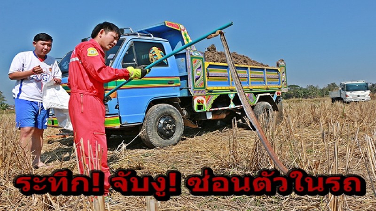 ลุ้นระทึก ! งูไซด์พี่บิ๊กเลื้อยเข้าซ่อนตัวในคอลโซลรถดั้มขนดิน หลังแบคโฮตักดินมาใส่ ติดงูแถมมาด้วย (คลิป)