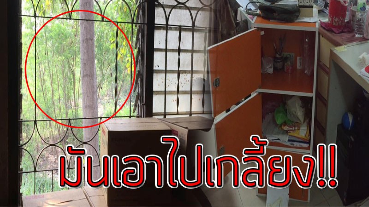 ทำได้แสบมาก!! โจรงัดบริษัทรถจักรยานยนต์ยี่ห้อดัง ก่อนจะเข้าไปขโมยเงินในตู้เซฟและตามโต๊ะพนักงาน หายไปมูลค่ากว่า 2 แสน ก่อนหลบหนีลอยนวล(คลิป)