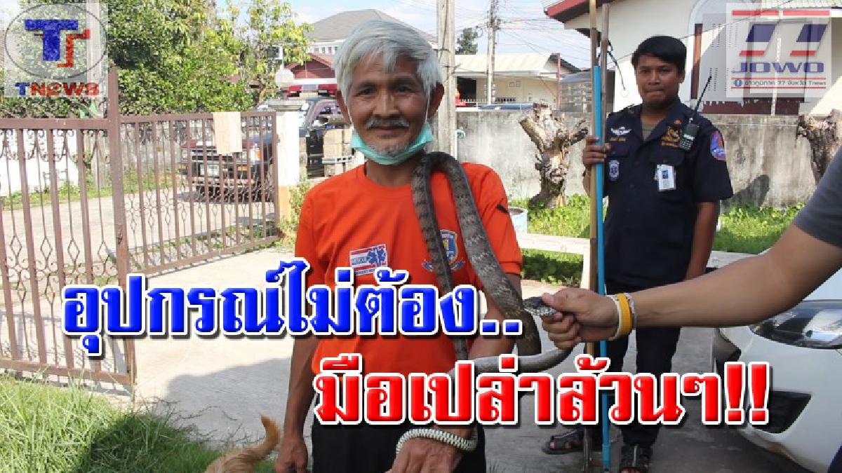 ทำเป็นเพื่อนเล่นไปได้..!!? อึ้ง..พ่อเฒ่า 65 ปี จับงูสิงมือเปล่า! งานนี้..ทักษะและประสบการณ์ล้วนๆ (คลิป)