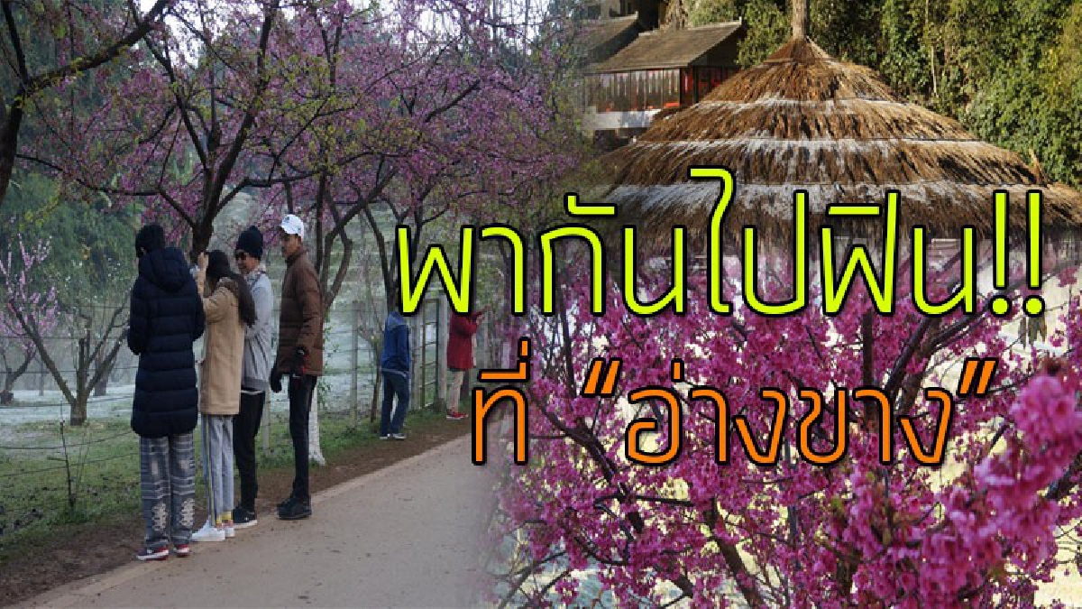 นึกว่าอยู่ต่างประเทศ!?? แม่คะนิ้งลงอ่างขางมากที่สุดในรอบปี อุณหภูมิลบ3 องศาซี เห็นภาพแล้วฟินสุดๆไปเลย!!
