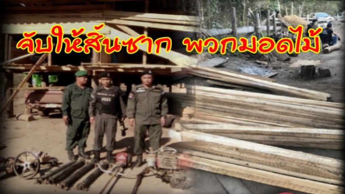 ตรวจยึดไม้เถื่อน แอบปลูกบ้านหลังใหญ่กลางป่า ยังไม่พ้นสายตาเจ้าหน้าที่ ตรวจพบซุกซ่อนไม้แปรรูปไม้ท่อนจำนวนมาก (ชมคลิปภาพ)