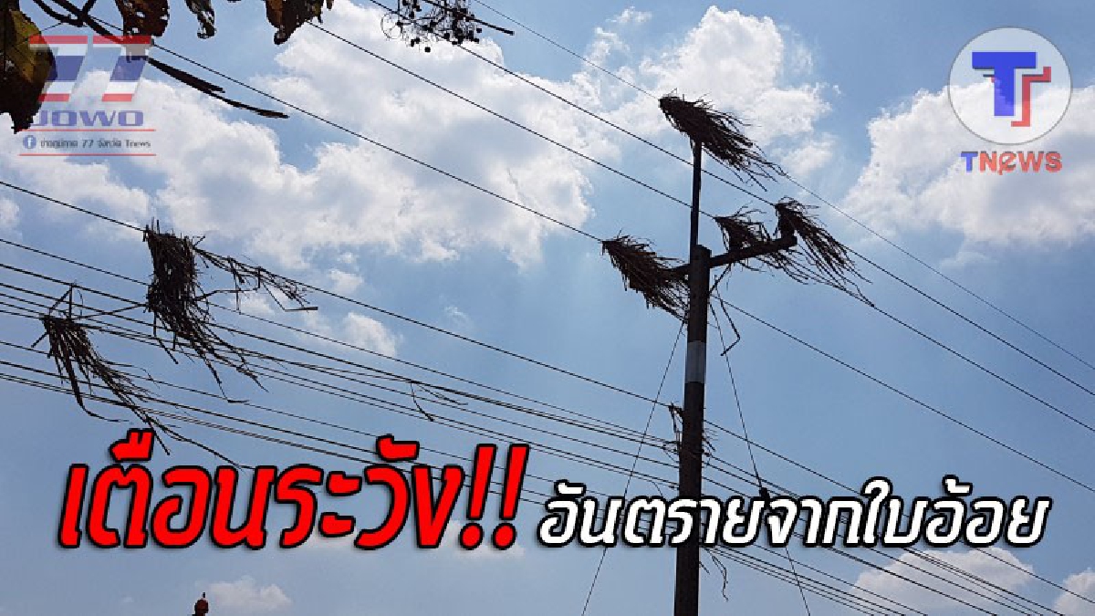 แจ้งเตือนภัย..!! อันตรายจากใบอ้อย ที่ถูกลมพัดขึ้นไปติดบนสายไฟฟ้า จนท.การไฟฟ้าส่วนภูมิภาค เผยเสี่ยงก่อให้เกิดไฟไหม้ และไฟฟ้าลัดวงจร