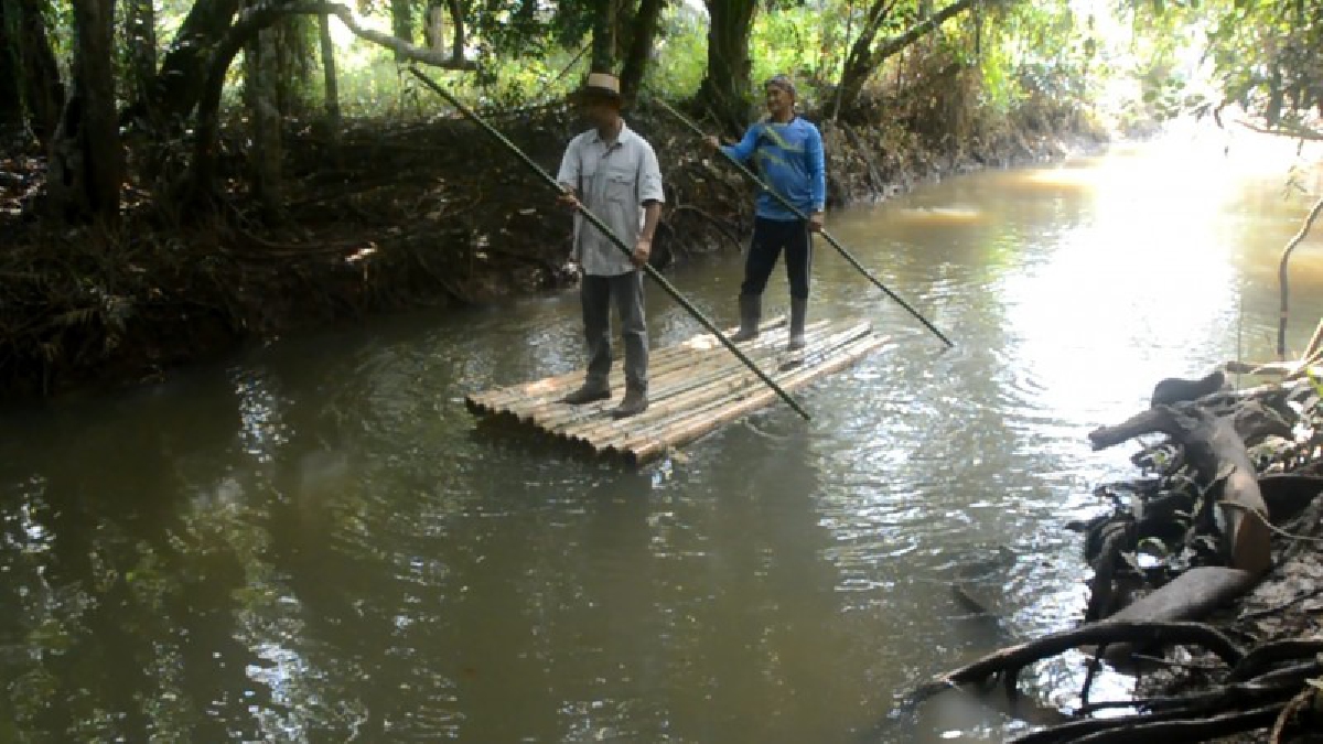 กระบี่!!! ผญ.บ้าน นำทีมพัฒนาคลองบ้านนาหนาน เตรียมเปิด ล่องเรือแคนูชมธรรมชาติ(ชมคลิป)