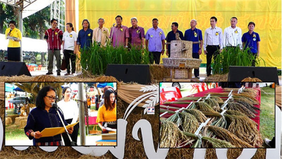 ลาดฯกระบังชุมพรจับมือกรมการข้าวจัด”มหกรรมข้าวไร่ 4 ภาค”เพิ่มทางเลือกสร้างรายได้เกษตรไทย เตรียมแปรรูป”โจ๊กข้าวไร่ใบเหลียง”(มีคลิป)