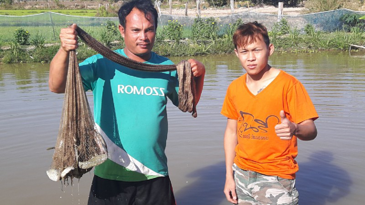 ความสุขที่แท้จริง!! เกษตรกรชาวนาหันมาทำการเกษตรแบบผสมผสาน ตามหลักเศรษฐกิจพอเพียง ส่งผลทำให้ชีวิตความเป็นอยู่ของครอบครัวดีขึ้น..