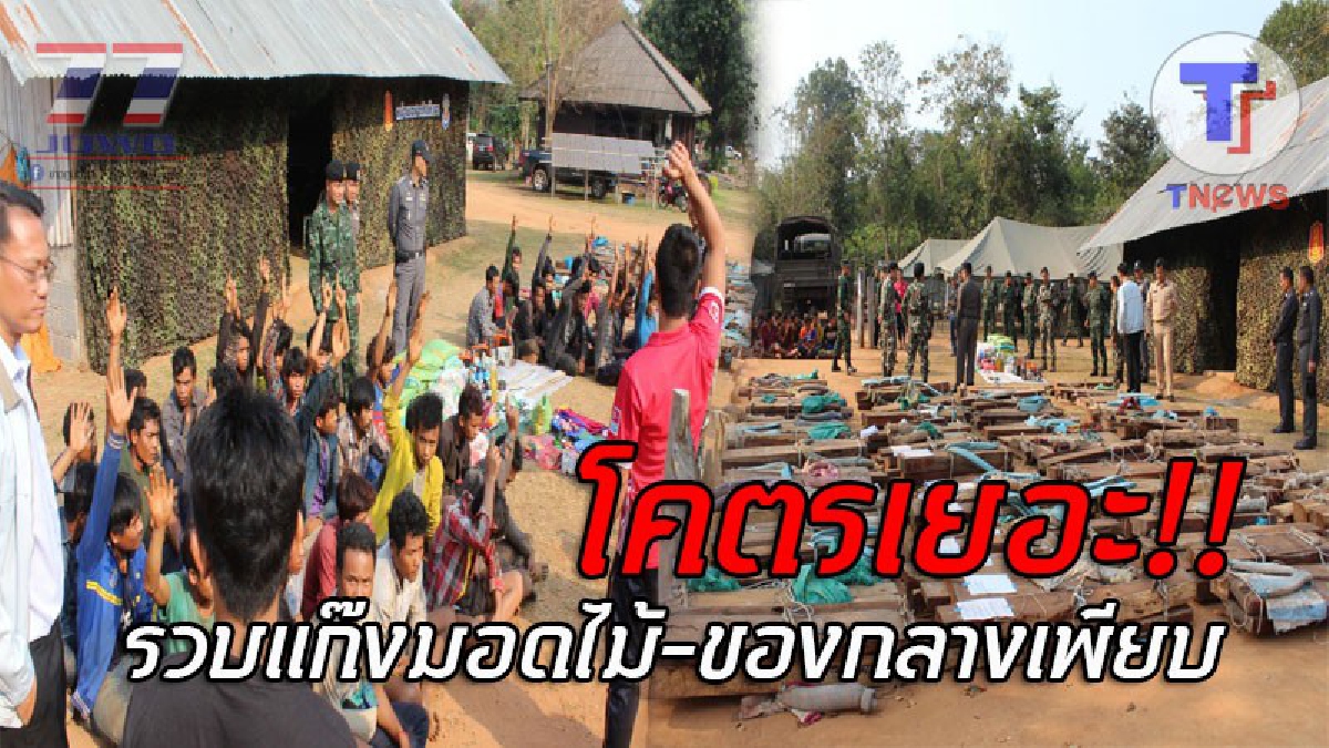 โอ้แม่เจ้า..ขนมาอื้อ !! กองทัพภาคที่ 2 ผนึกกำลัง ไล่ล่าจับมอดไม้ รวบได้เกือบร้อยคน พร้อมของกลางมูลค่าหลายล้านบาท!? (ชมคลิป)