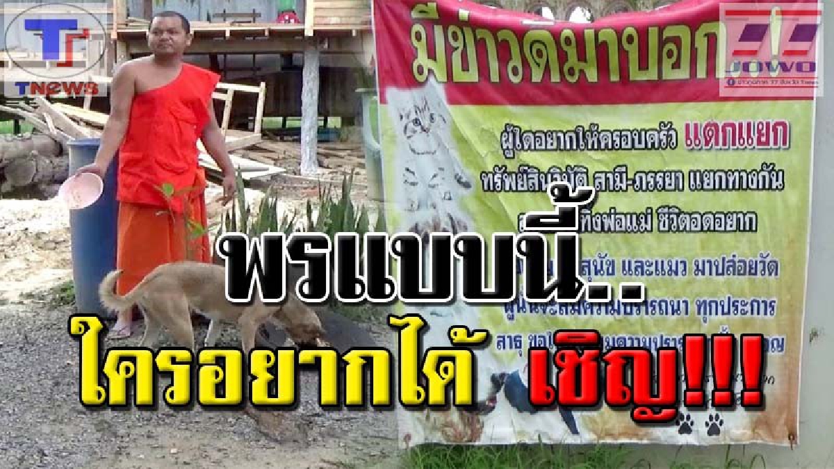 รับพรนะโยม..!!? หลวงพี่เหนื่อยจัด..ขึ้นป้ายแช่งคนใจบาป ปล่อยหมาแมวล้นวัด ลั่น! อยากแตกแยก อดอยาก ก็เอามา!!? (คลิป)
