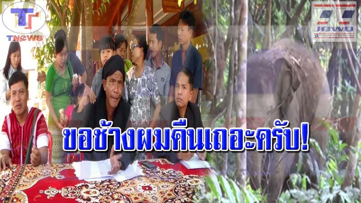 ครอบครัวเจ้าของช้างแม่-ลูก..โร่ร้องสื่อ หลังอุทยานฯ ตีรวนยึดช้างนานกว่า 2 ปี ป่านนี้ยังไม่ได้คืน!! (คลิป)