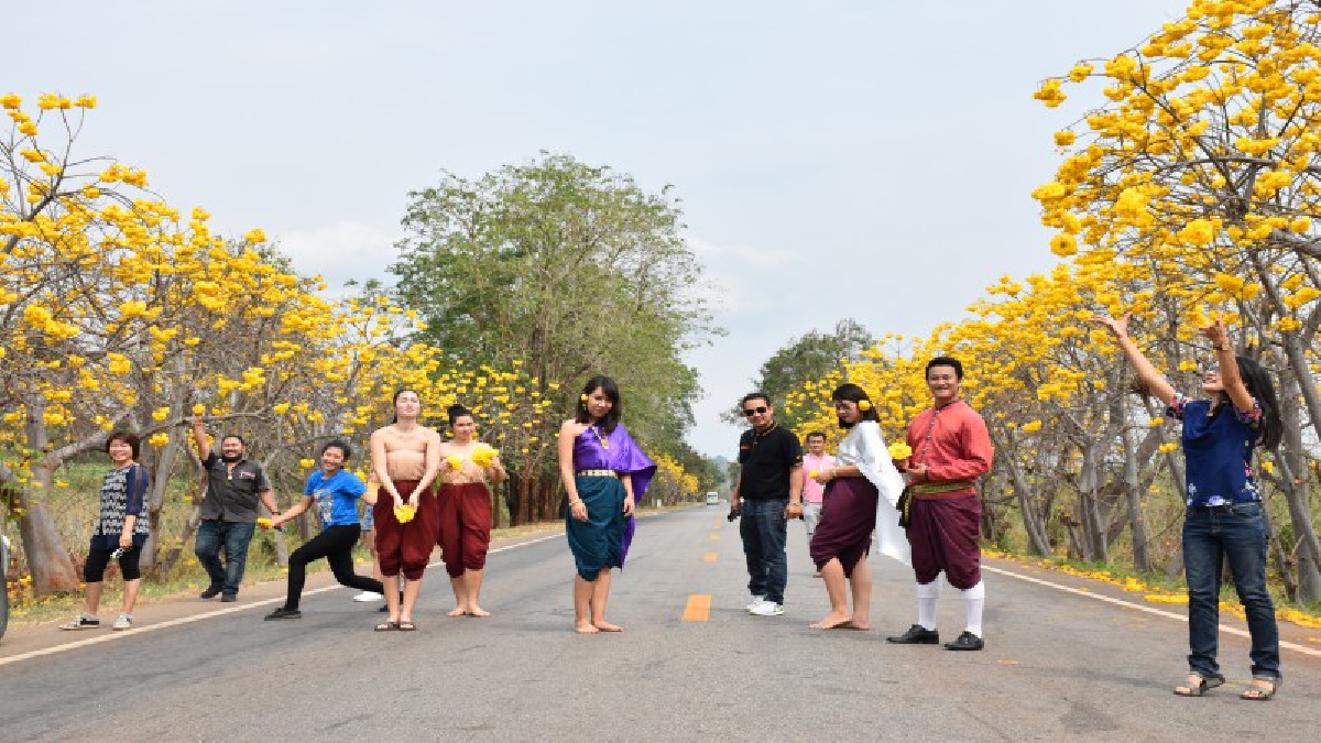 **นทท.เข้าไทรโยค ชมถนนดอกไม้ยาว10กม.แห่เซลฟี่สุพรรณิการ์บานสะพรั่งเหลืองอร่าม 2 ฝั่งถนน