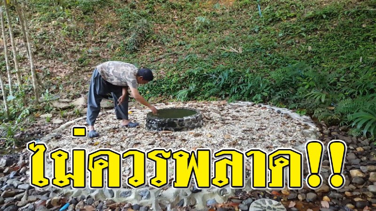 ชอบเที่ยวต้องมา!! บ่อน้ำเหนือดินภายในวนอุทยานควนเขาวัง อันซีนที่ต้องไปชม น้ำถูกดันขึ้นมาอยู่สูงจากพื้นดินราว1ฟุต ไม่เคยแห้งน้ำใสสะอาดดื่มได้