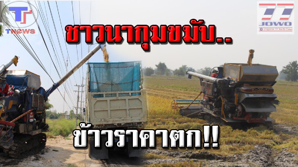 แบบนี้แย่แน่..!? ชาวนานครสวรรค์ ครวญยกใหญ่..ปัญหารุมเร้า ข้าวราคาตก ซ้ำต้นทุนค่าปุ๋ย วอนรัฐบาลเร่งแก้ไข (คลิป)