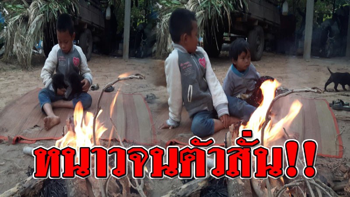 หนาวเย็นไปจนถึงกระดูก!! ชาวบ้านและสัตว์เลี้ยงในพื้นที่ 9 อำเภอ เจอทั้งฝนและลมหนาว..!??