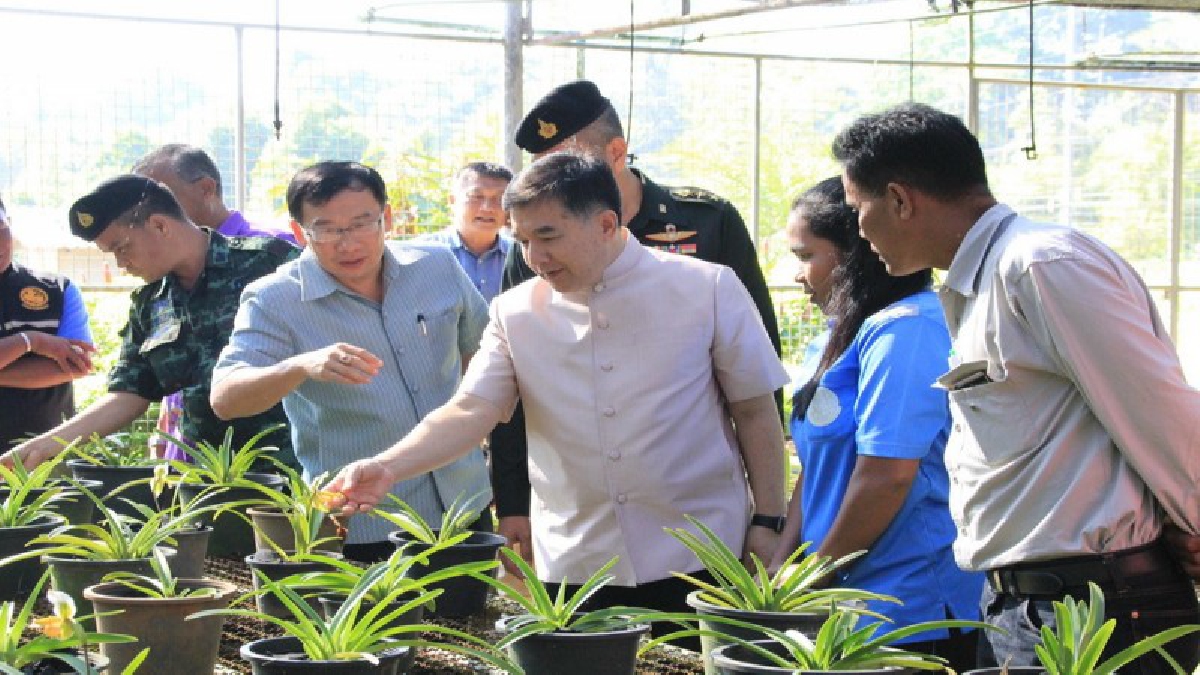 ผู้ว่าฯกระบี่ เดินหน้าสานต่อโครงการพระราชดำริ