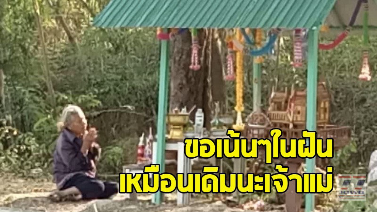 ความหวังโค้งสุดท้าย ! ยายมองซ้าย-ขวาไม่ม่รถ จอดจยย.ข้างทาง หยิบของเซ่นไหว้มาพึ่ง“เจ้าแม่จำปาทอง” รอเข้าฝันคืนนี้มีเฮ (คลิป)