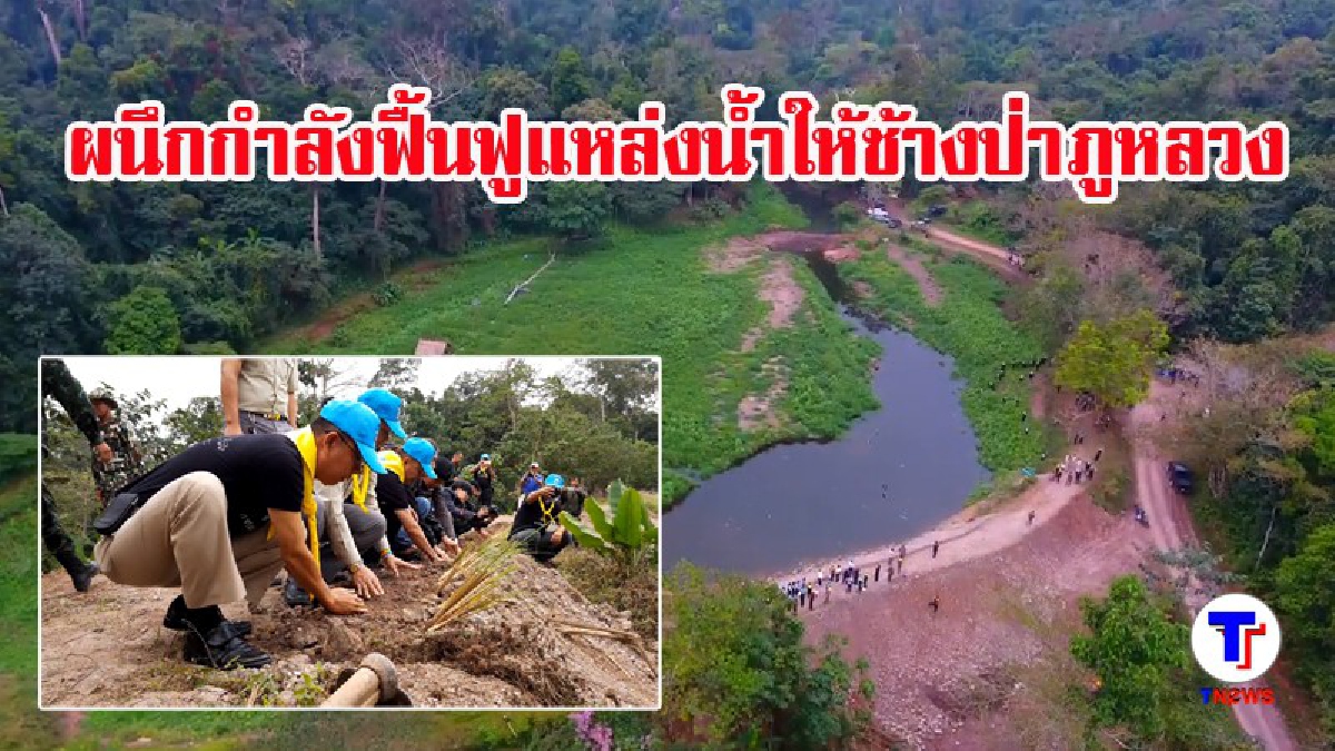 เลย..ผนึกกำลังฟื้นฟูแหล่งน้ำให้ช้างป่าภูหลวง !! หลังถูกน้ำป่าซัดพังเมื่อ 3 เดือนก่อน (มีคลิป)
