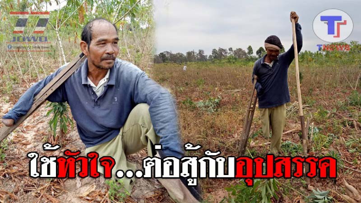 กราบหัวใจ..!! ชาวเน็ตแห่ชื่นชม “ลุงเชือง” ชายพิการเหลือแขน-ขาเพียงข้างเดียว หลังเหยียบกับระเบิด แต่สู้งานไม่เคยท้อ ออกรับจ้างตัดอ้อย-ขุดมัน