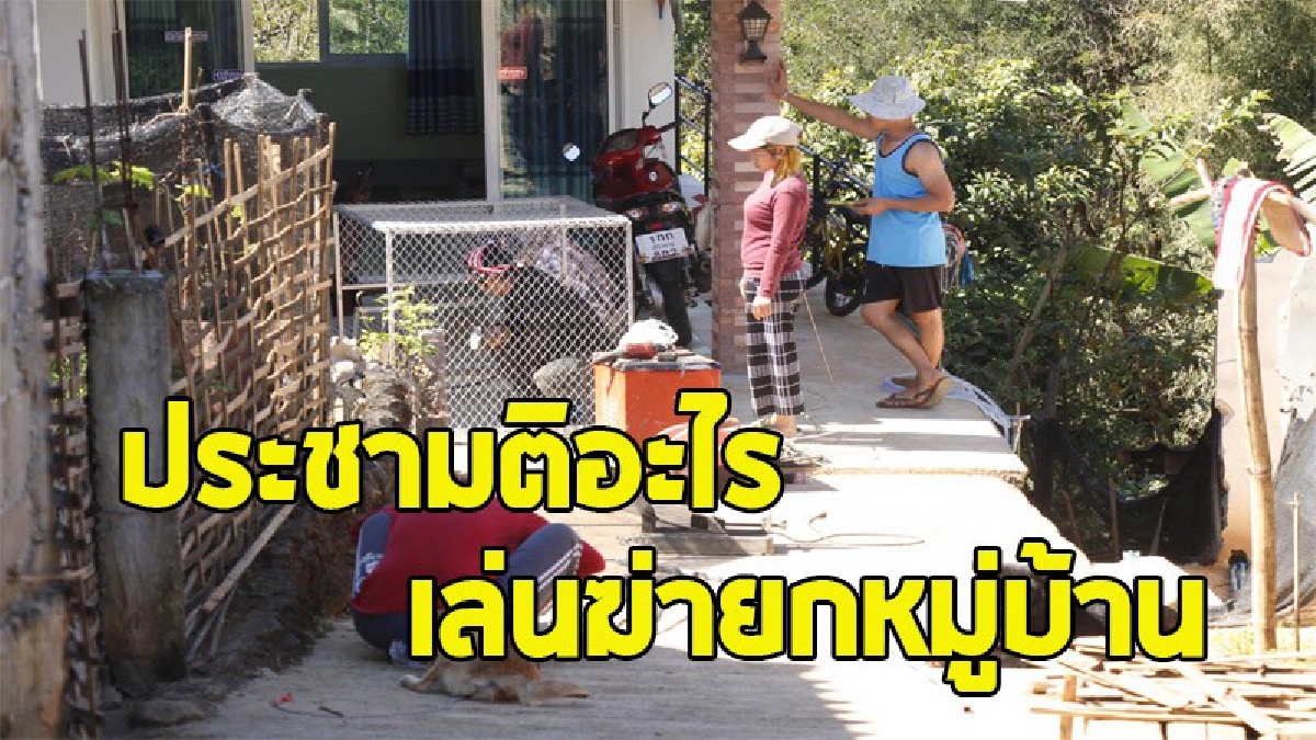 เกินกว่าเหตุไหม ? ชาวบ้านโวย หมาแมวถูกสังหารทั้งหมู่บ้านนับร้อยๆตัว "ปศุสัตว์ชี้เป็นประชามติ" ควบคุมการระบาดโรคพิษสุนัขบ้า (ชมคลิป)