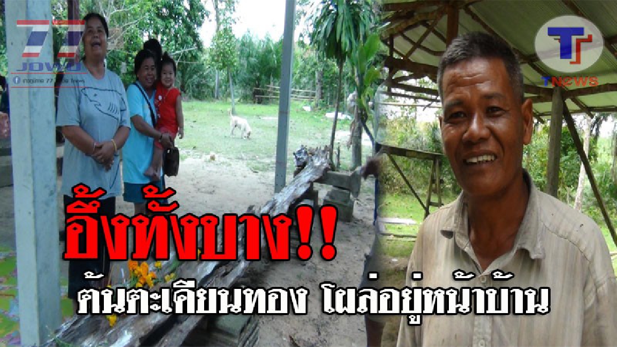 ฮือฮาทั้งหมู่บ้าน..! 2ตายาย ถึงกับขนลุก จู่ๆมีต้นตะเคียนทองอายุ 3,500 ปี โผล่อยู่หน้าบ้าน หลังหลานชายวัย13 บอกมีหญิงแต่งชุดไทยมาเข้าฝัน!?