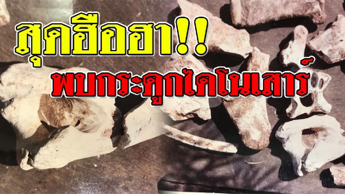 แตกตื่นกันทั้งบาง!! ประธานสภาวัฒนธรรมตำบลเมืองงาย เปิดบ้านเล่าเรื่องราวพบ "โครงกระดูกไดโนเสาร์" หลังจากที่ตามรอยประวัติศาสตร์พระนเรศวร..!??